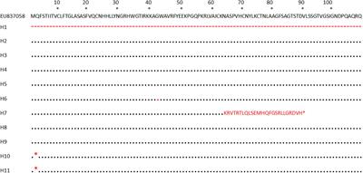 Novel Variation and Evolution of AvrPiz-t of Magnaporthe oryzae in Field Isolates